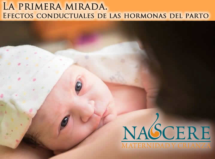 bebe primera mirada