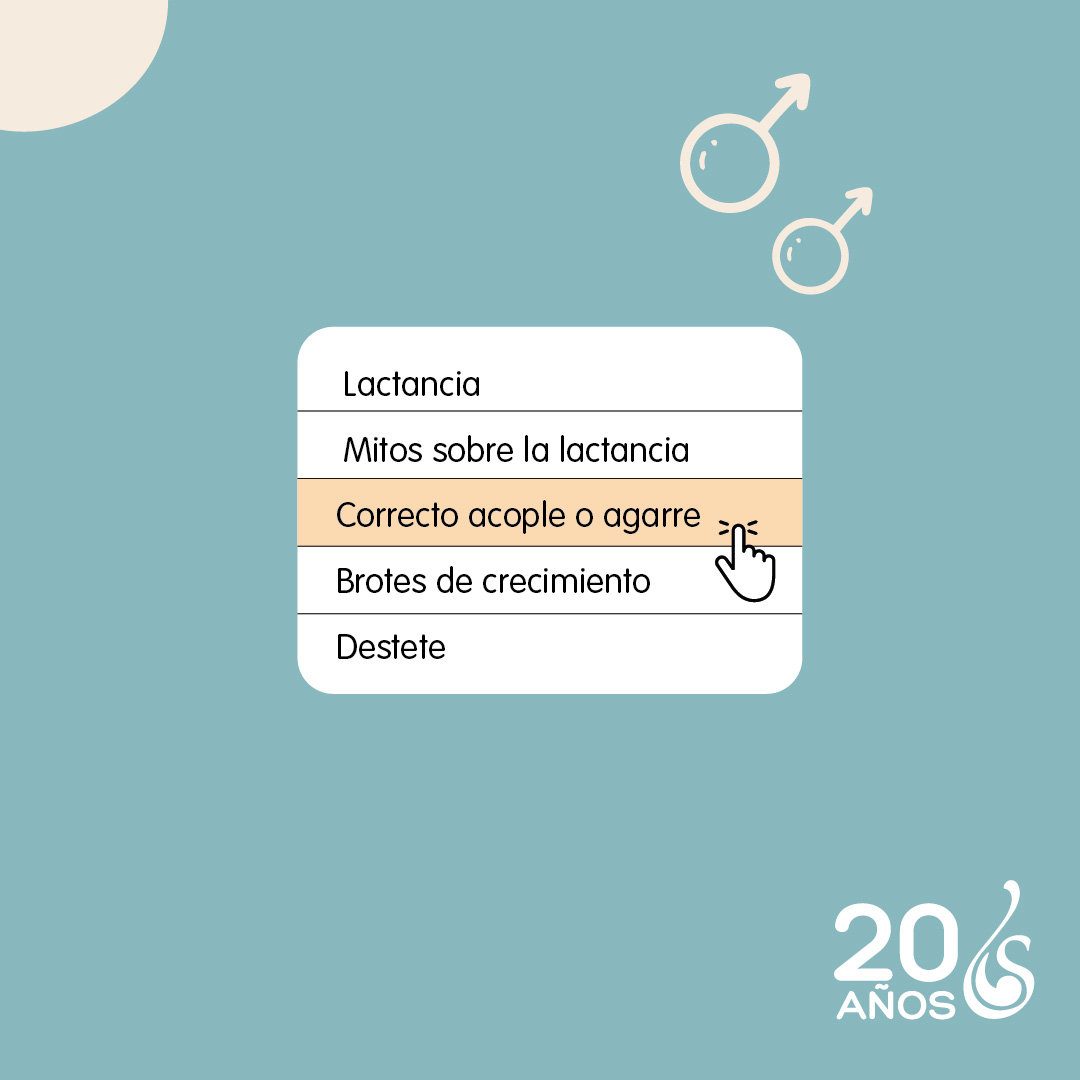 lactancia-nascere-correcto-acople-o-agarre Un aspecto clave para una lactancia exitosa: el buen acople del bebé al pecho. - Nascere - Maternidad y Crianza