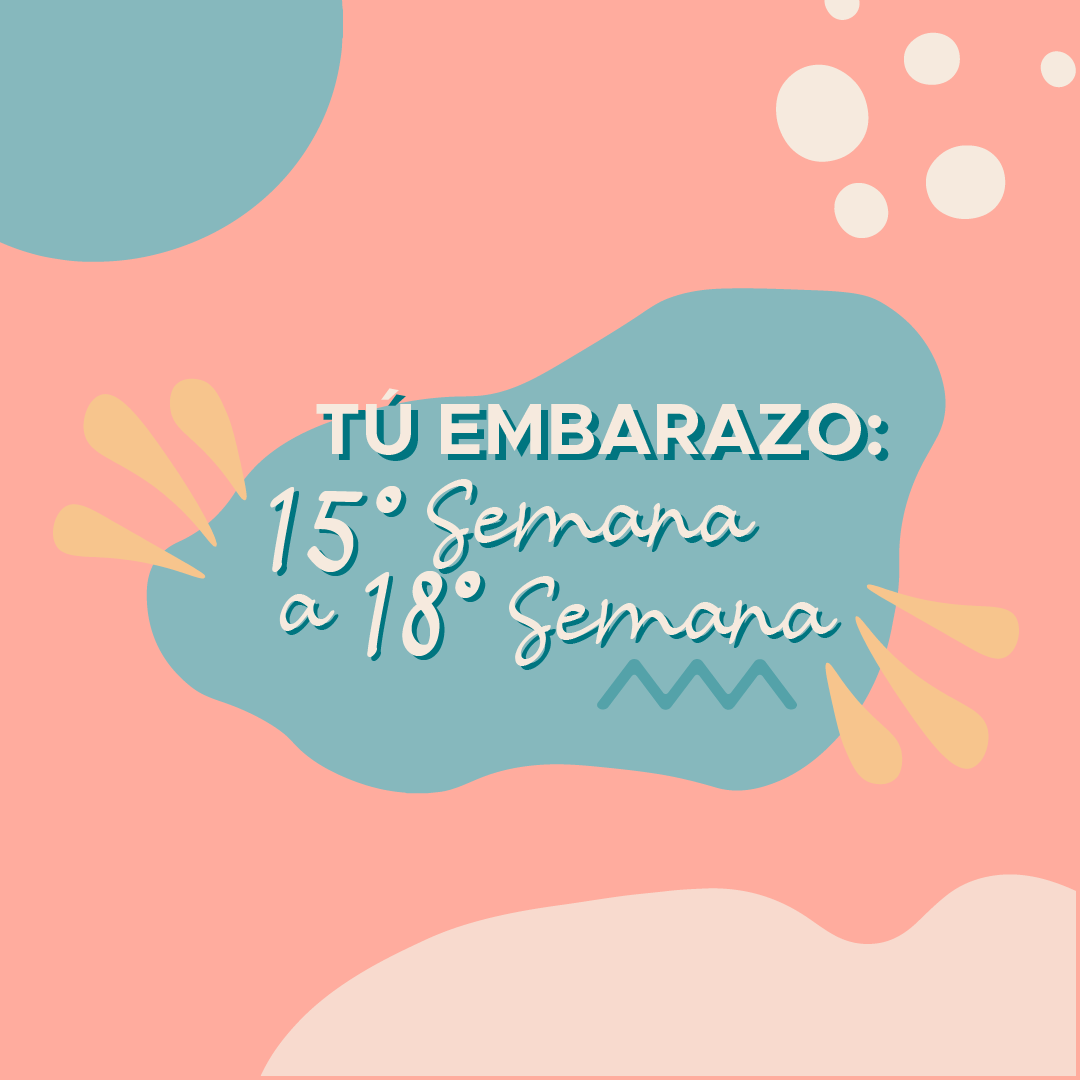 Tú Embarazo: 15° Semana a 18° Semana