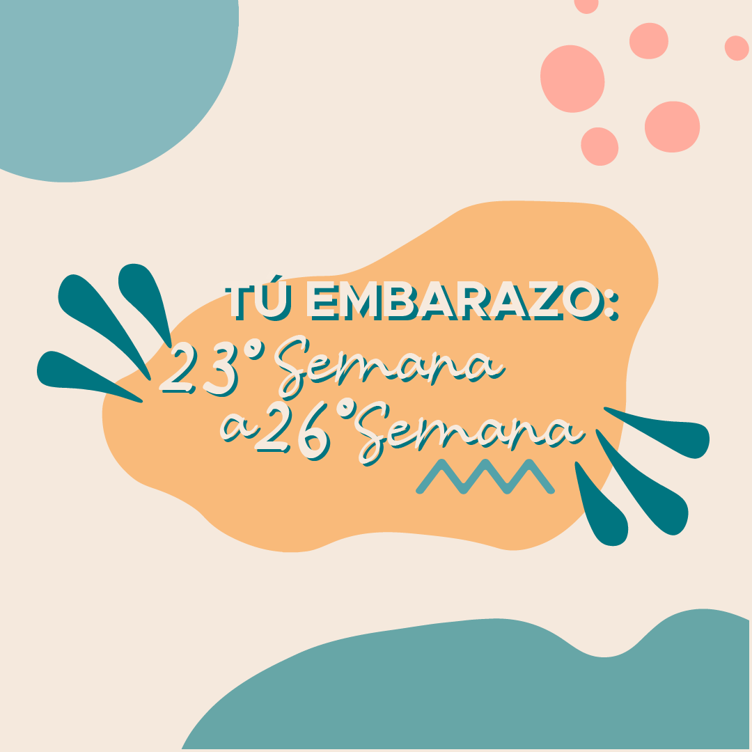 Tú Embarazo: 23° Semana a 26° Semana
