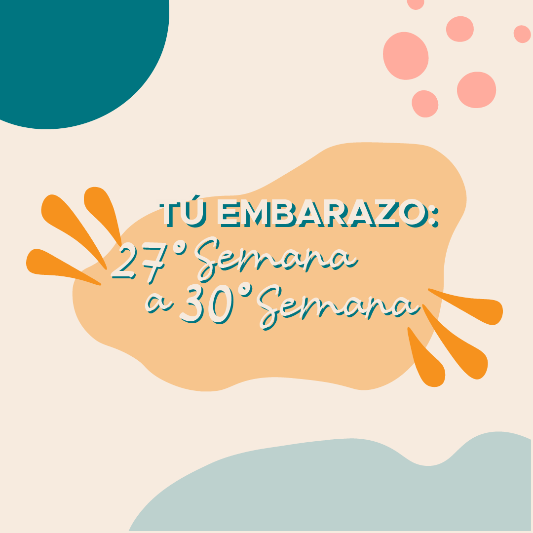 Tú Embarazo: 27° Semana a 30° Semana