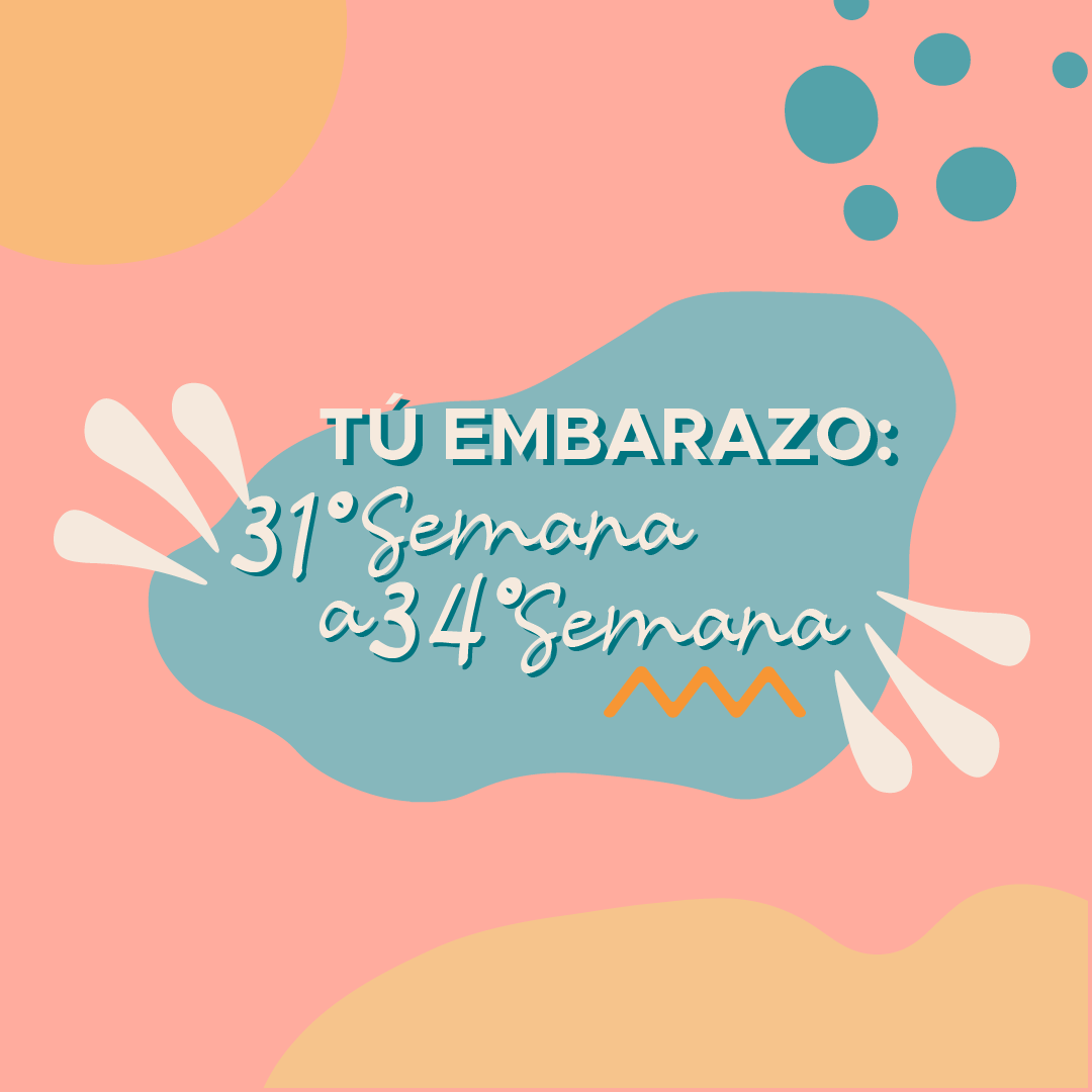 Tú Embarazo: 31° Semana a 34° Semana