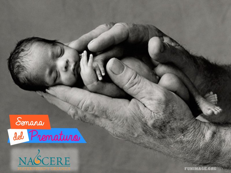 semana del prematuro