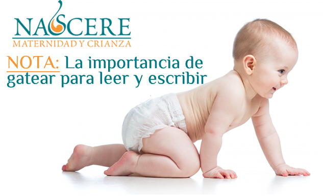 la importancia de gatear para leer y escribir