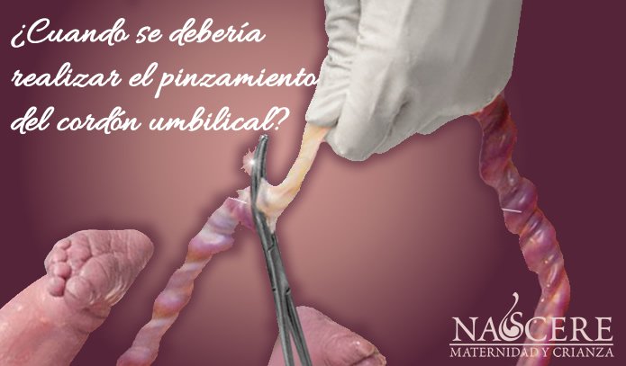 cuando pinzar el cordon umbilical nascere maternidad