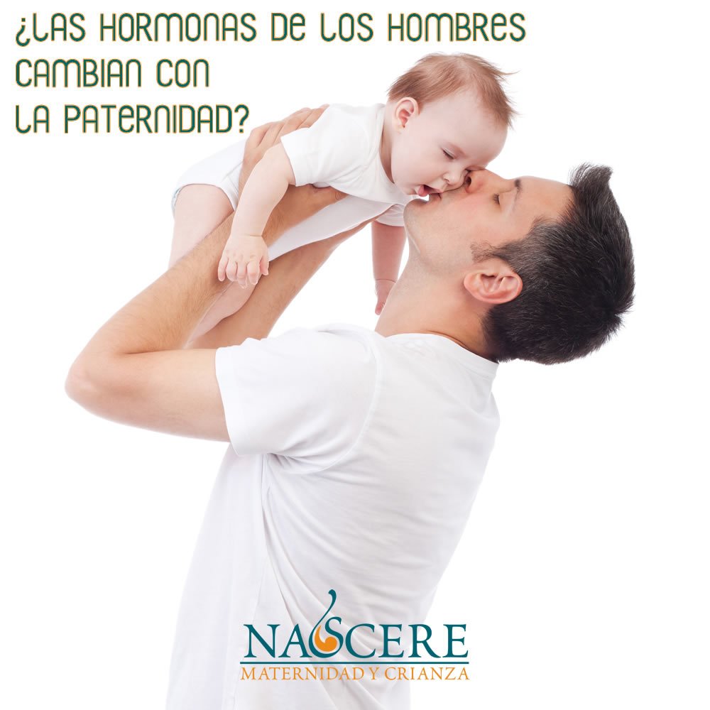 ¿las hormonas de los hombres cambian con la paternidad?