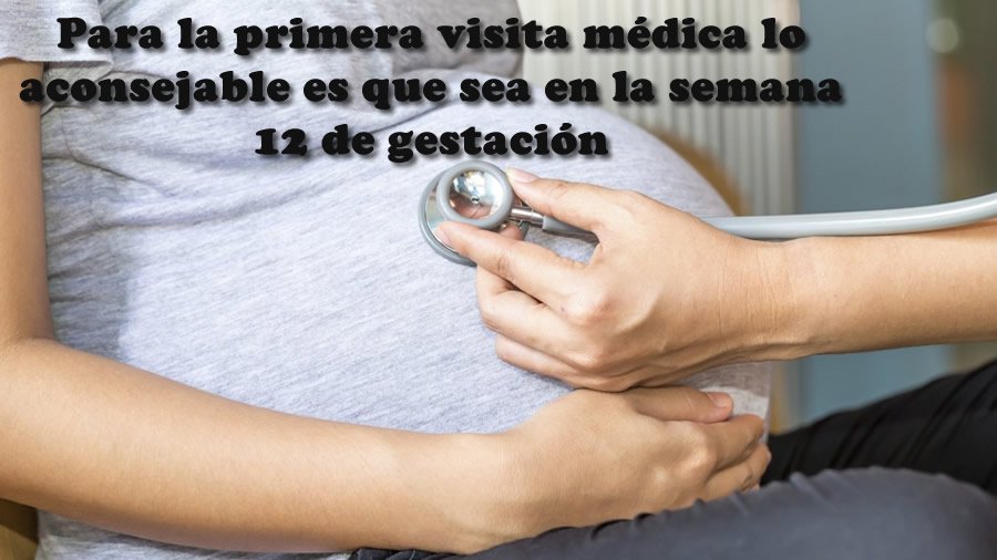 nuevas directivas de la oms 2