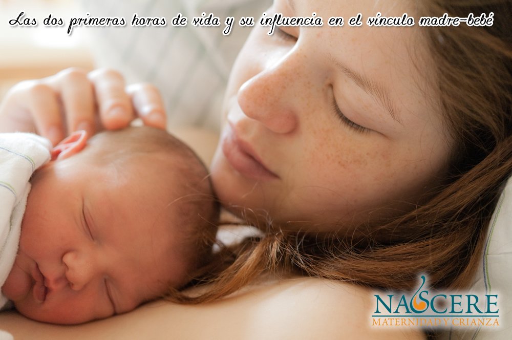 vinculo mama bebe 3
